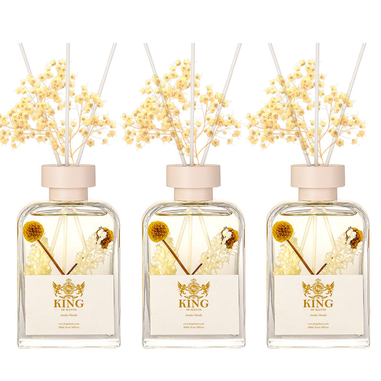 Reed Diffuser & Oil Diffuser Sticks with Flower, Aromatherapy, Home & Kitchen Décor, Fragrance and Gifts (FIR and Juniper)