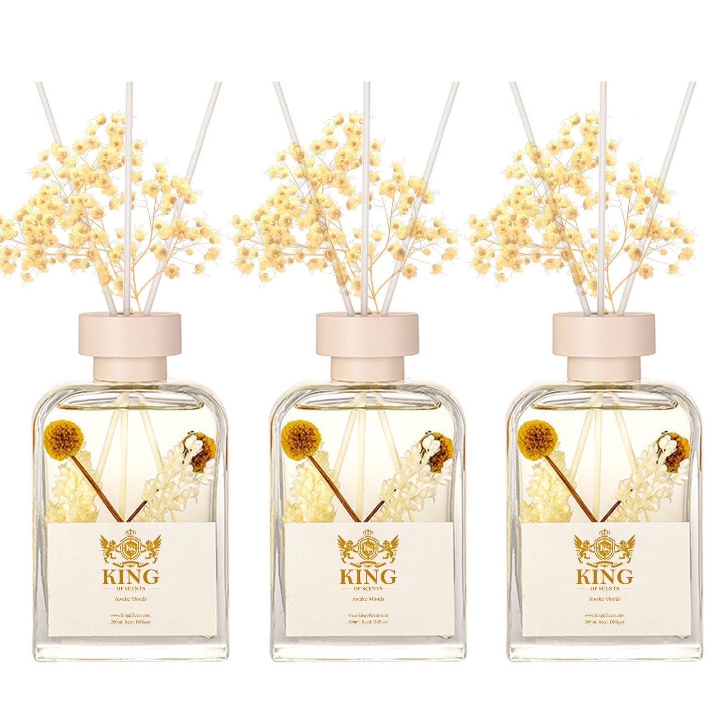 Reed Diffuser & Oil Diffuser Sticks with Flower, Aromatherapy, Home & Kitchen Décor, Fragrance and Gifts (FIR and Juniper) - Pack Of 3