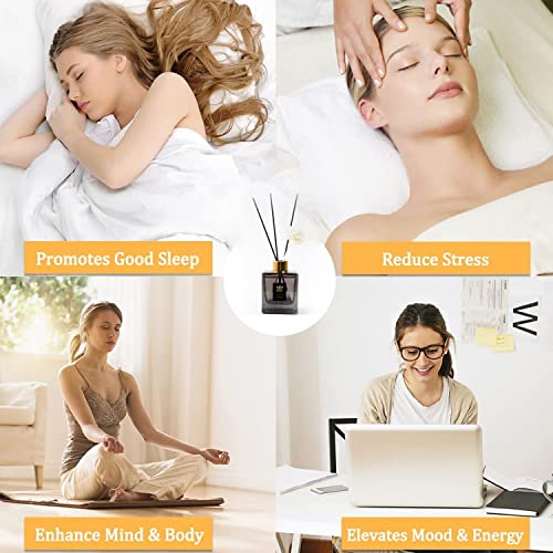 King of scents Aroma Reed Diffuser (120ml) Shangri-La Reed Diffuser Set,Reed Diffuser & Oil Diffuser Sticks, Home & Kitchen Décor,Fragrance and Gifts