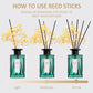 Reed Diffuser (200ml) Mint Reed Diffuser Set,Reed Diffuser & Oil Diffuser Sticks with Flower, Aromatherapy, Home & Kitchen Décor,Fragrance and Gifts (Pack Of 3)