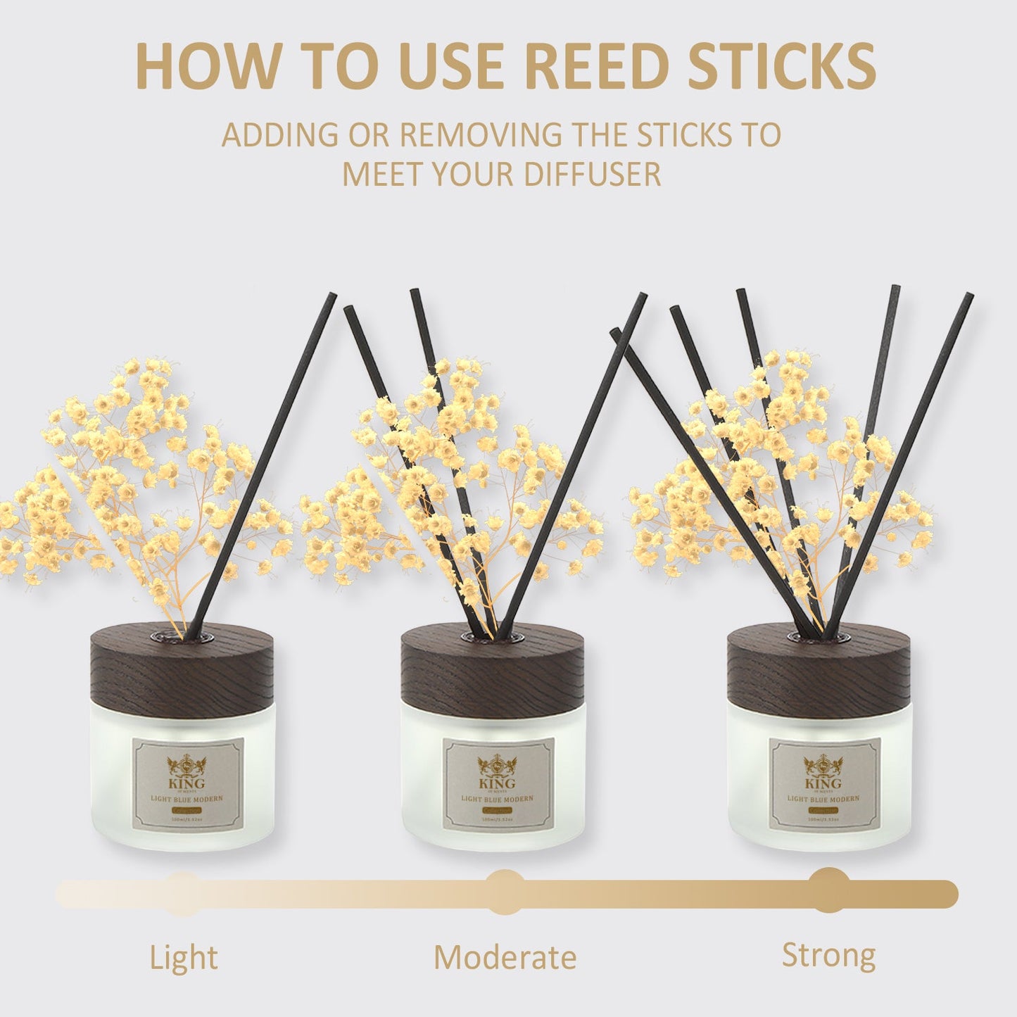 Light Blue Modern Reed Diffuser Set,Reed Diffuser & Oil Diffuser Sticks with Flower, Aromatherapy, Home & Kitchen Décor,Fragrance and Gifts (Pack Of 3)