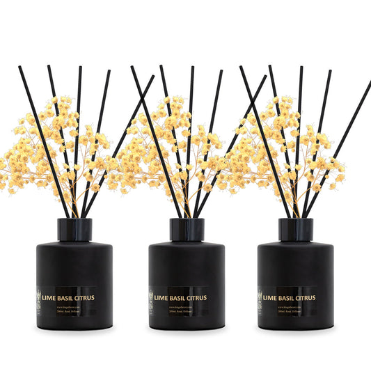 Lime Basil Citrus Reed Diffuser Set,Reed Diffuser & Oil Diffuser Sticks with Flower, Aromatherapy, Home & Kitchen Décor,Fragrance and Gifts (Pack Of 3)