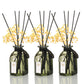 Mint Reed Diffuser Set,Reed Diffuser & Oil Diffuser Sticks with Flower, Aromatherapy, Home & Kitchen Décor,Fragrance and Gifts (Pack Of 3)