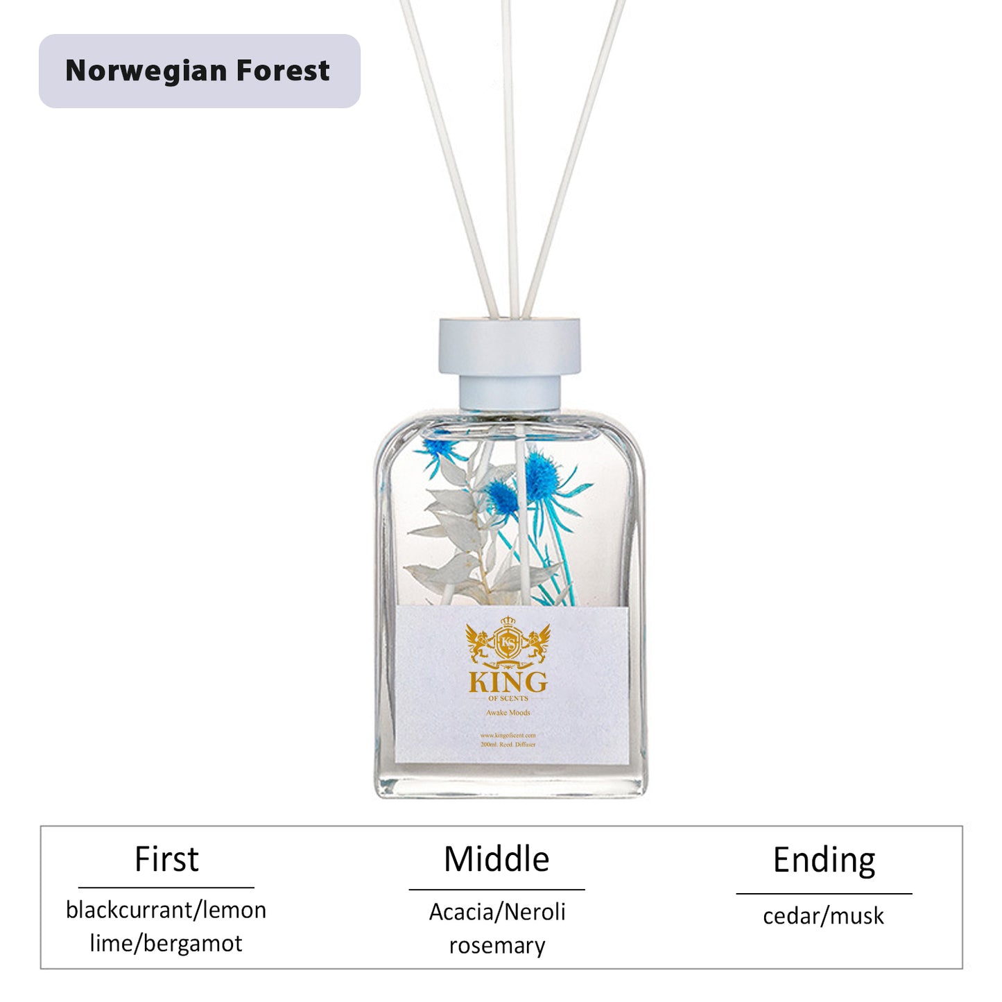 Reed Diffuser & Oil Diffuser Sticks with Flower, Aromatherapy, Home & Kitchen Décor, Fragrance and Gifts (Norwegian Forest)